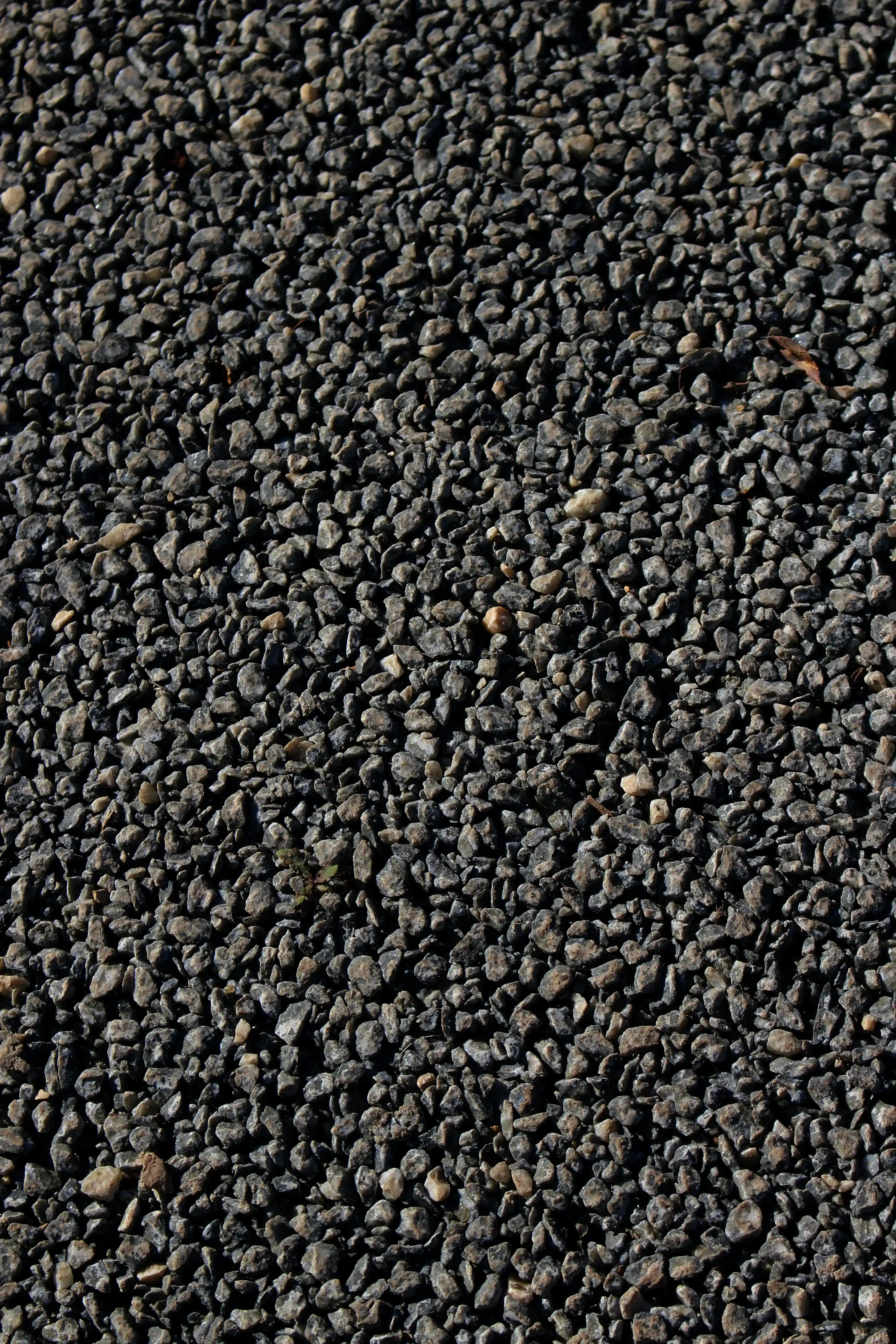 10 mm